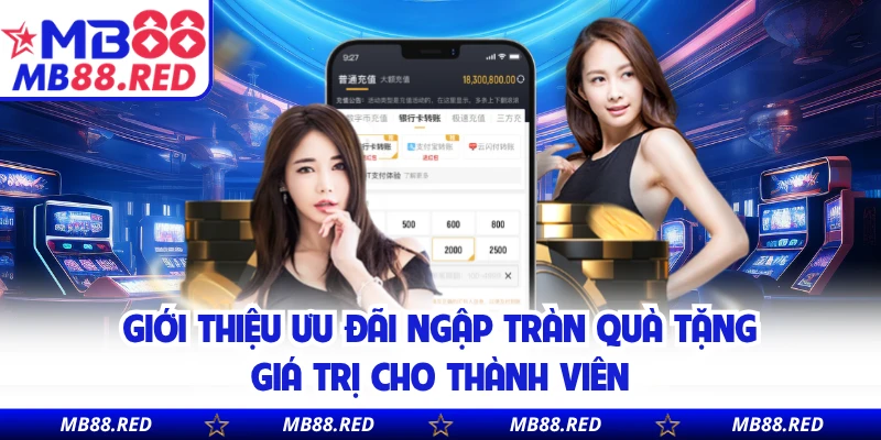 Giới thiệu ưu đãi ngập tràn quà tặng giá trị cho thành viên